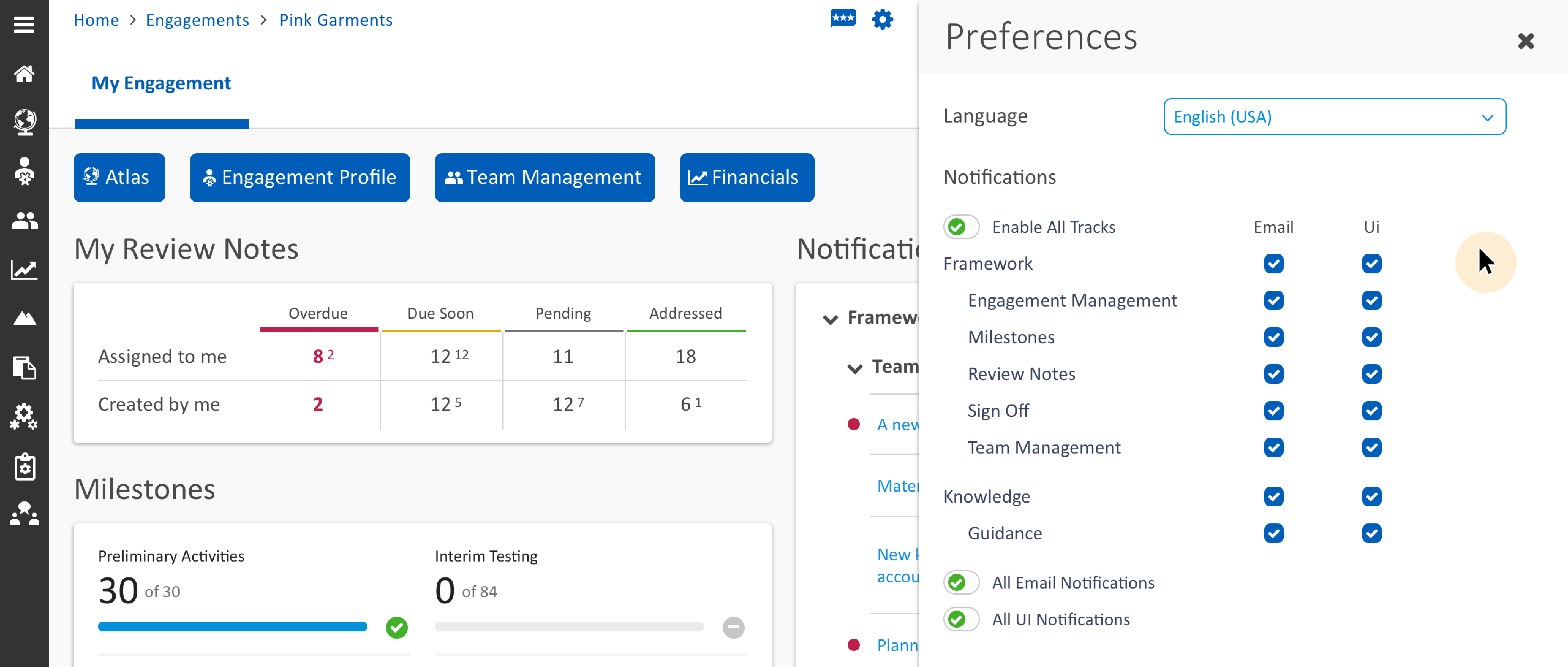 KPMG audit platform — reporting dashboard panoramic view